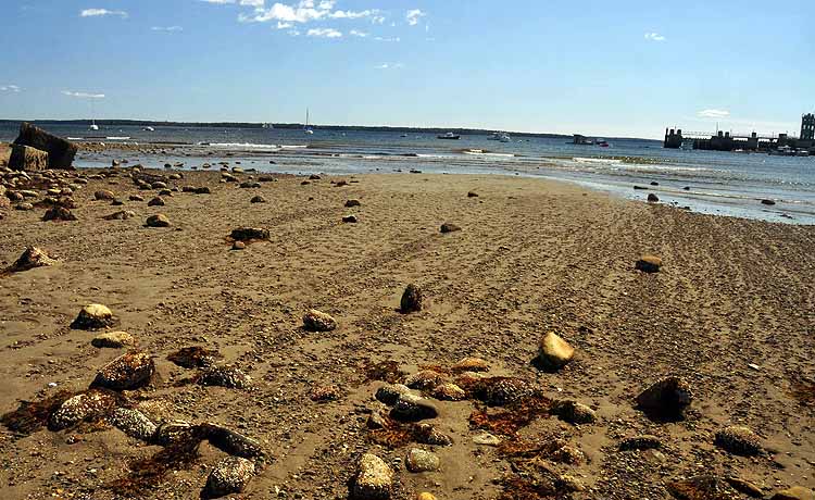 beach at low tide